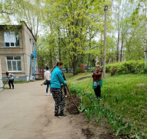 Субботник Субботник.